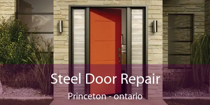 Steel Door Repair Princeton - ontario