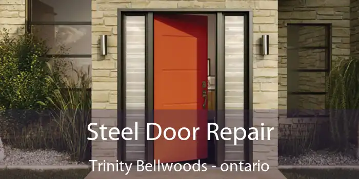Steel Door Repair Trinity Bellwoods - ontario
