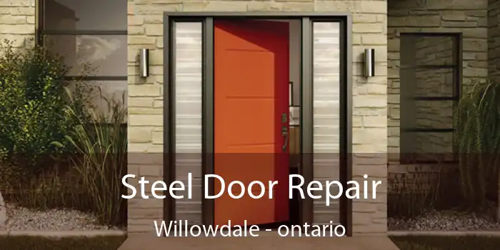 Steel Door Repair Willowdale - ontario