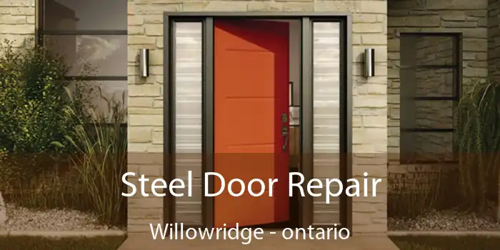 Steel Door Repair Willowridge - ontario