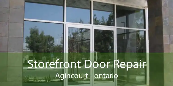 Storefront Door Repair Agincourt - ontario