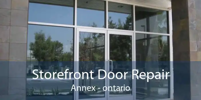 Storefront Door Repair Annex - ontario