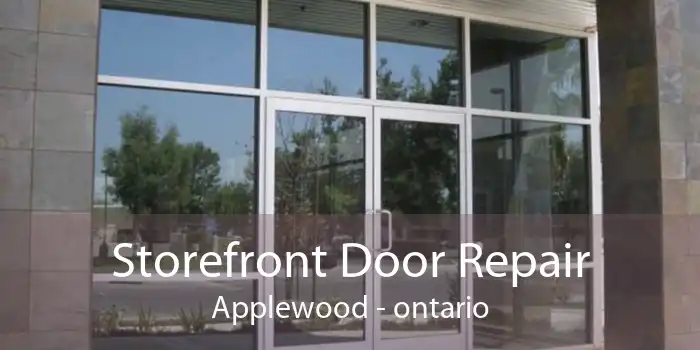 Storefront Door Repair Applewood - ontario