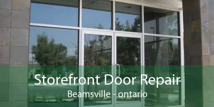 Storefront Door Repair Beamsville - ontario