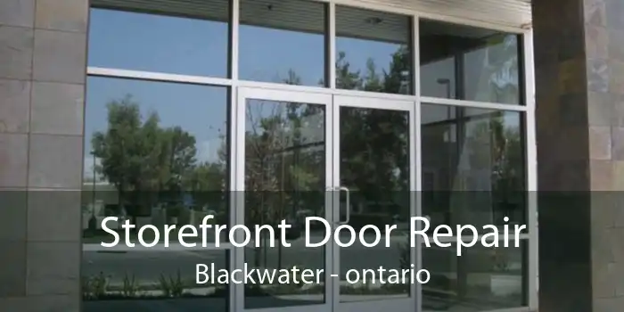 Storefront Door Repair Blackwater - ontario