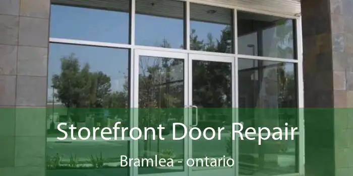 Storefront Door Repair Bramlea - ontario