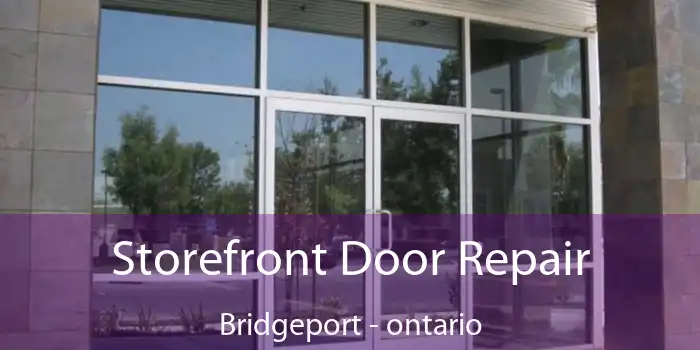Storefront Door Repair Bridgeport - ontario