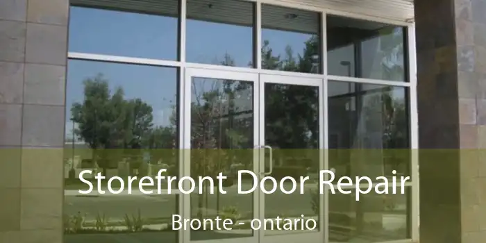 Storefront Door Repair Bronte - ontario