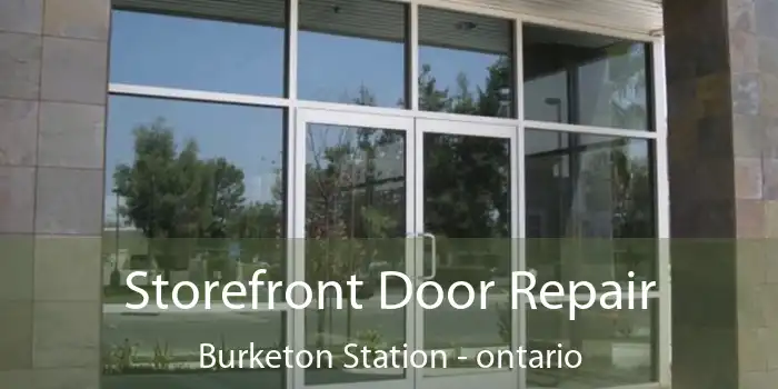 Storefront Door Repair Burketon Station - ontario