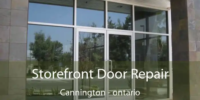 Storefront Door Repair Cannington - ontario