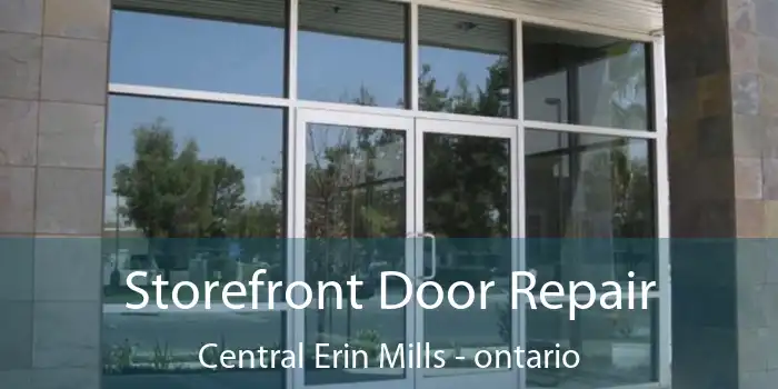 Storefront Door Repair Central Erin Mills - ontario