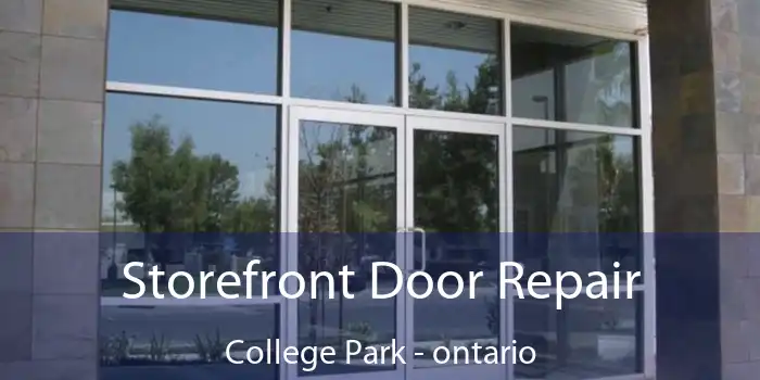 Storefront Door Repair College Park - ontario