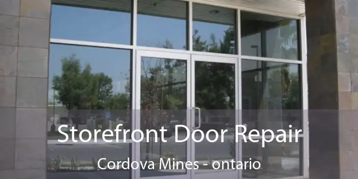 Storefront Door Repair Cordova Mines - ontario