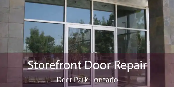 Storefront Door Repair Deer Park - ontario