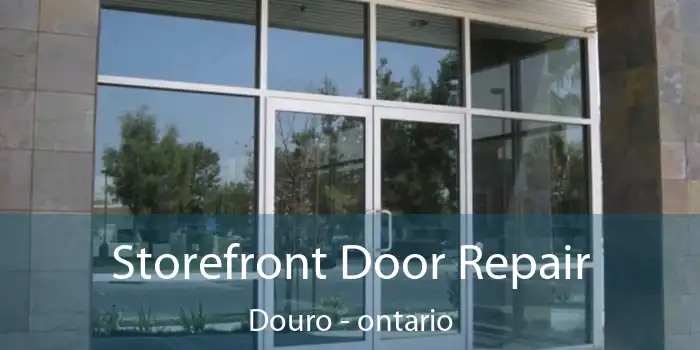 Storefront Door Repair Douro - ontario