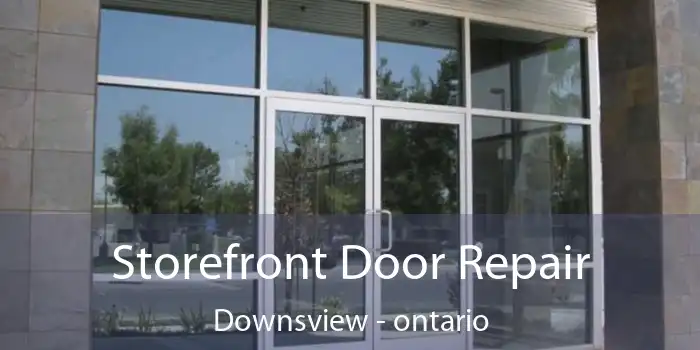Storefront Door Repair Downsview - ontario