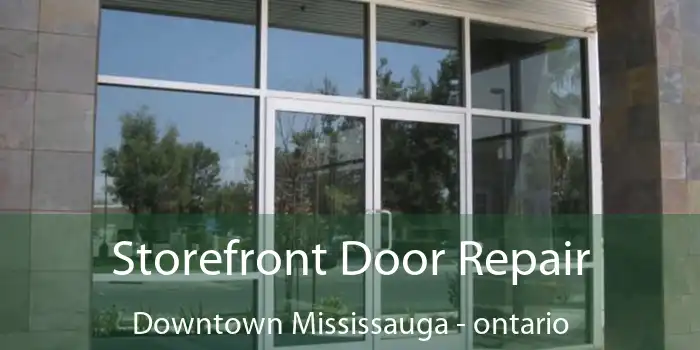 Storefront Door Repair Downtown Mississauga - ontario