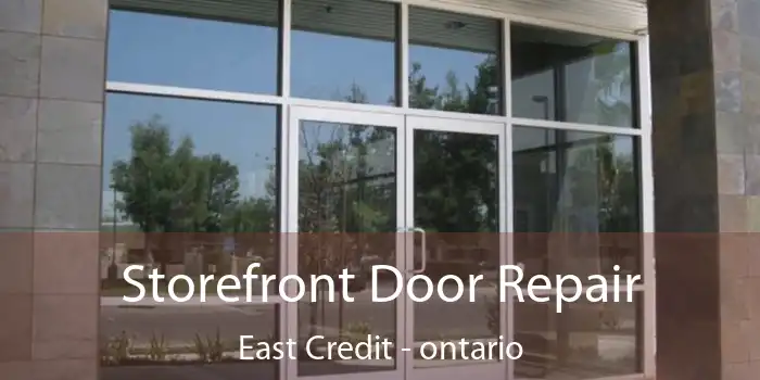 Storefront Door Repair East Credit - ontario