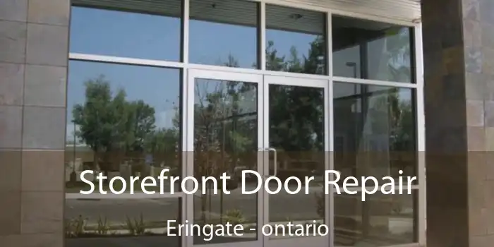 Storefront Door Repair Eringate - ontario