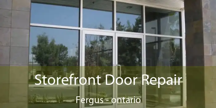 Storefront Door Repair Fergus - ontario