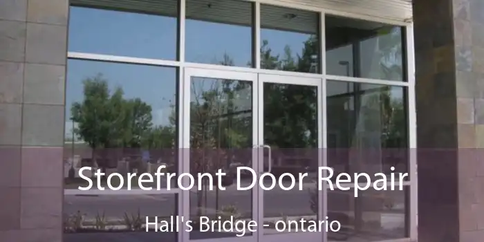 Storefront Door Repair Hall's Bridge - ontario