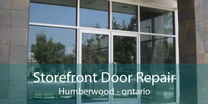 Storefront Door Repair Humberwood - ontario