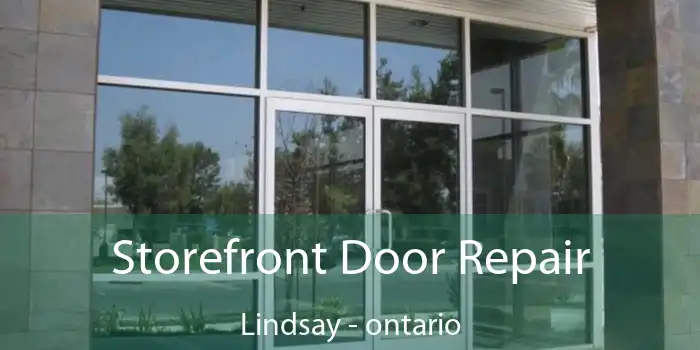 Storefront Door Repair Lindsay - ontario