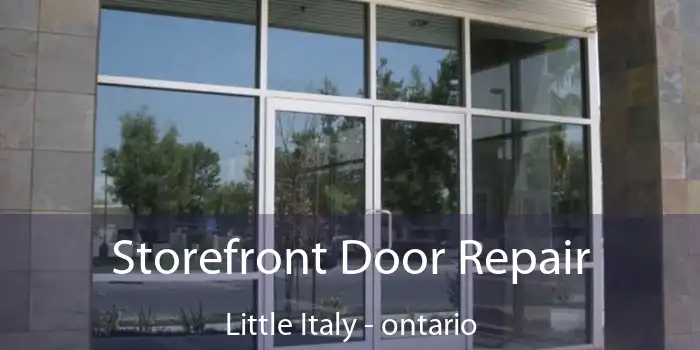 Storefront Door Repair Little Italy - ontario