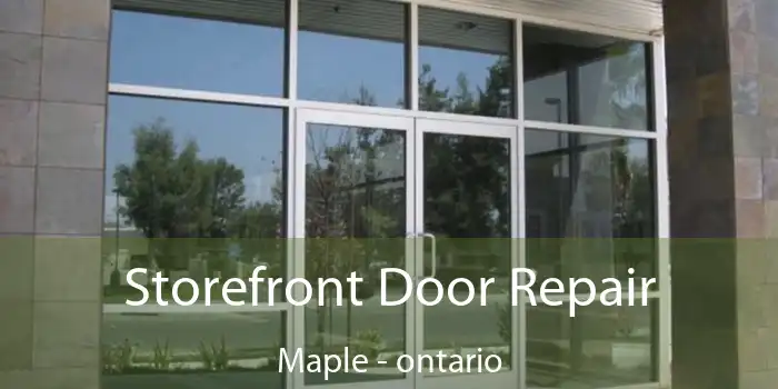 Storefront Door Repair Maple - ontario