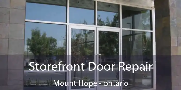 Storefront Door Repair Mount Hope - ontario