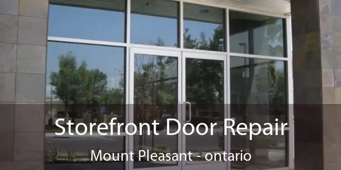 Storefront Door Repair Mount Pleasant - ontario