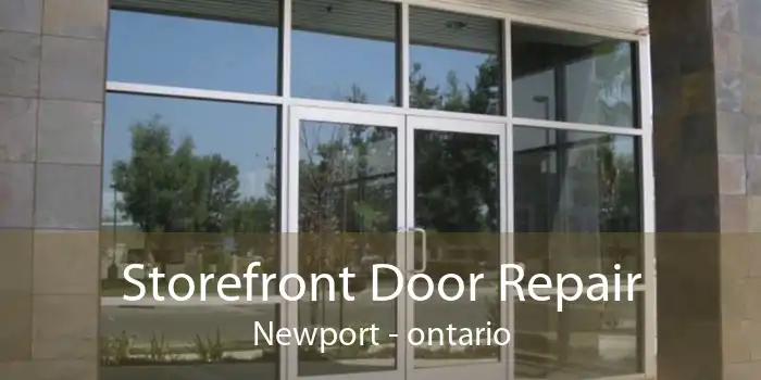 Storefront Door Repair Newport - ontario