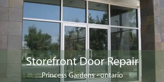 Storefront Door Repair Princess Gardens - ontario