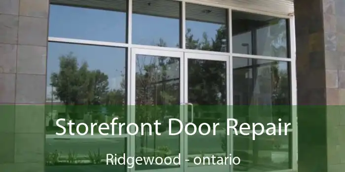 Storefront Door Repair Ridgewood - ontario