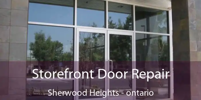 Storefront Door Repair Sherwood Heights - ontario