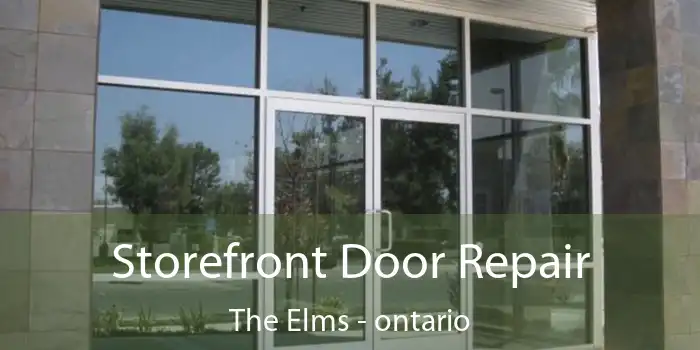 Storefront Door Repair The Elms - ontario