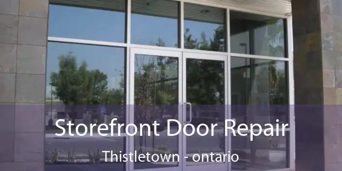 Storefront Door Repair Thistletown - ontario