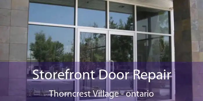 Storefront Door Repair Thorncrest Village - ontario
