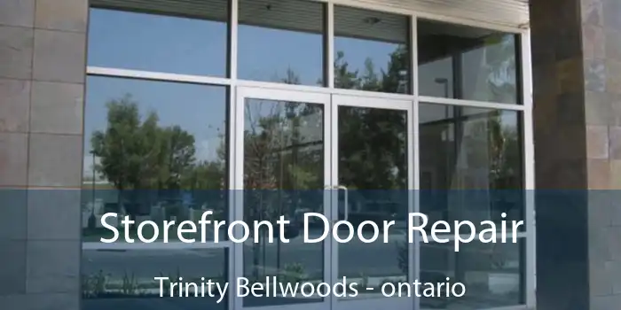 Storefront Door Repair Trinity Bellwoods - ontario