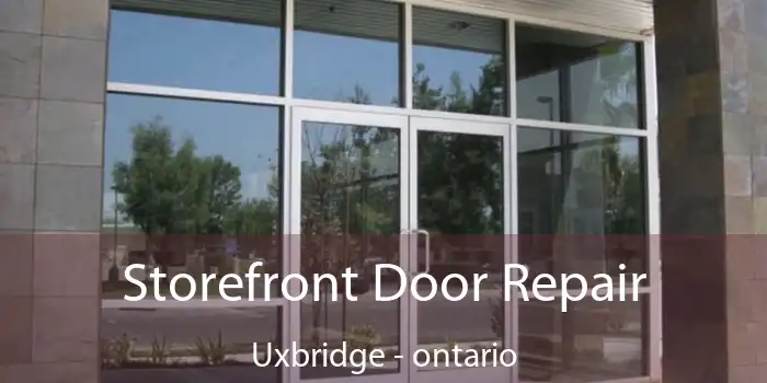 Storefront Door Repair Uxbridge - ontario