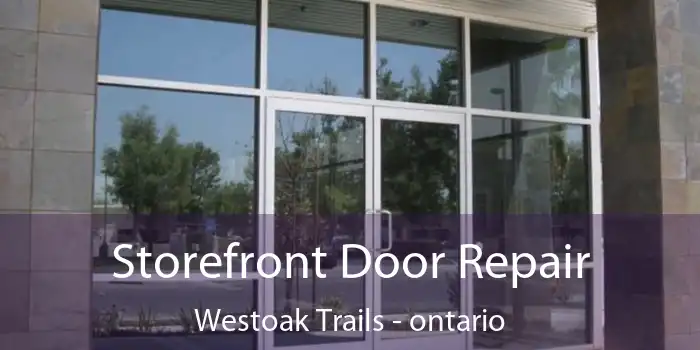 Storefront Door Repair Westoak Trails - ontario