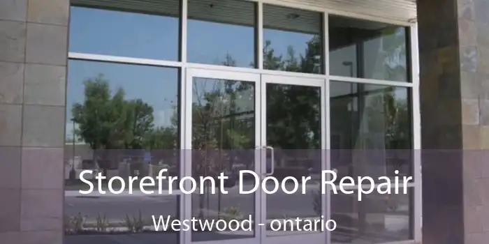 Storefront Door Repair Westwood - ontario