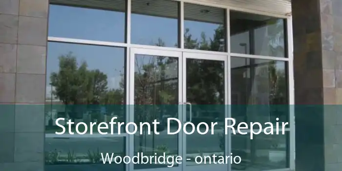 Storefront Door Repair Woodbridge - ontario