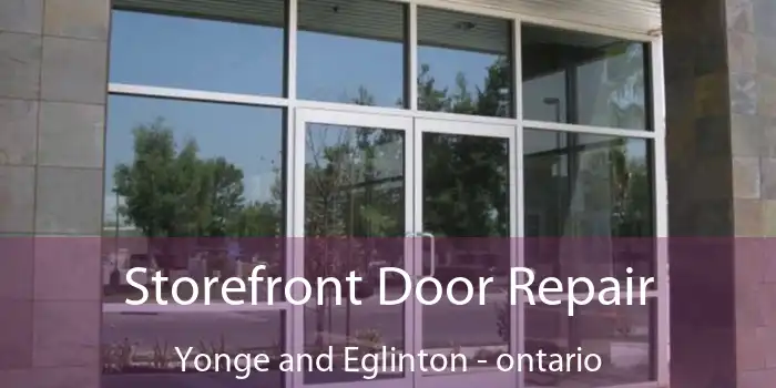 Storefront Door Repair Yonge and Eglinton - ontario