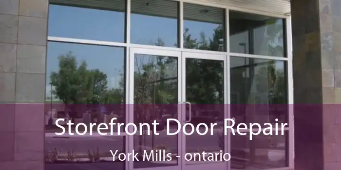 Storefront Door Repair York Mills - ontario