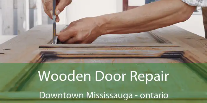Wooden Door Repair Downtown Mississauga - ontario