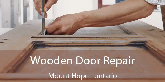 Wooden Door Repair Mount Hope - ontario