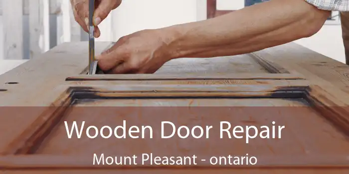 Wooden Door Repair Mount Pleasant - ontario