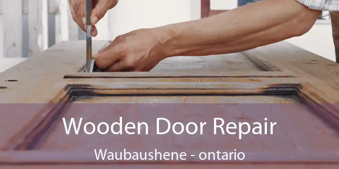 Wooden Door Repair Waubaushene - ontario
